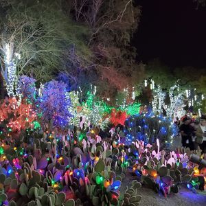 Meet your Posher, Lorenzo mendiata